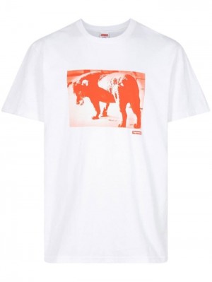 Camisetas Supreme Daido Moriyama Dog Hombre Blancas Colombia | Q5P-67585