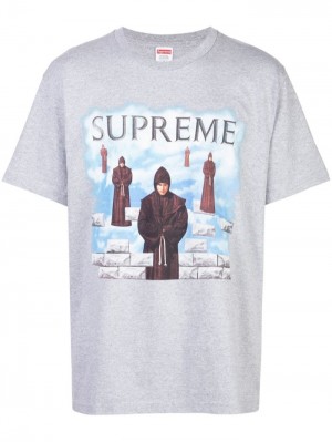 Camisetas Supreme Levitation Estampadas-print Hombre Gris Colombia | I7A-30630