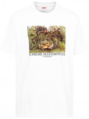 Camisetas Supreme Masterpieces Crew Neck Hombre White  Colombia | D5G-51823