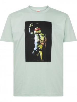 Camisetas Supreme Raphael-print Crew-neck Hombre Gris Colombia | H2X-93823