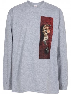 Camisetas Supreme X Mike Hill "Snaketrap" Long-sleeve Hombre Gris Colombia | P9Y-28509