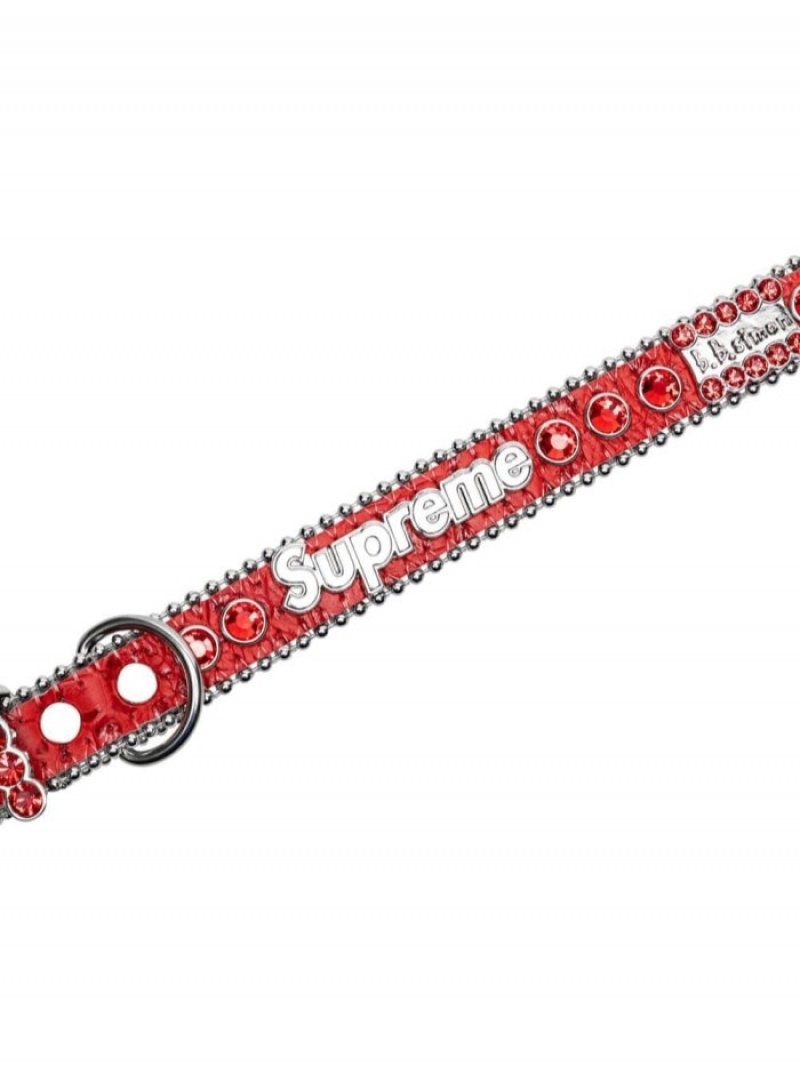 Accesorios Para Mascotas Supreme B.B. Simon Studded Dog Collar Mujer Rojas Colombia | S3U-48943