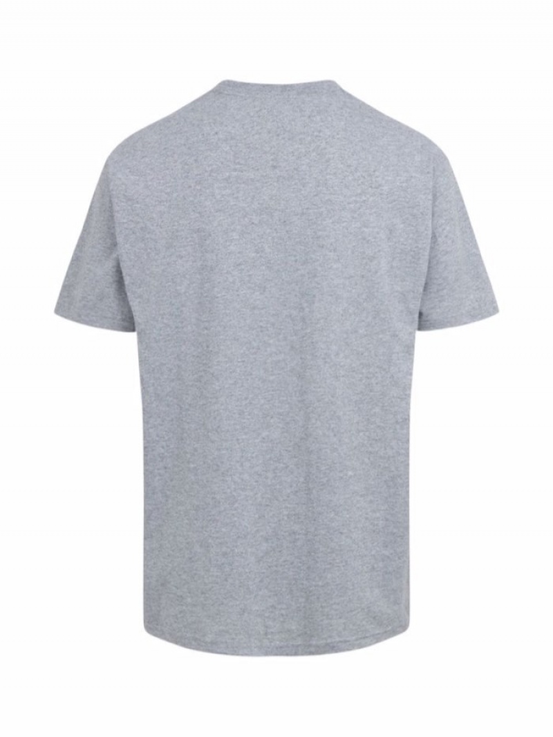 Camisetas Supreme Est 1994 Crew Neck Hombre Gris Colombia | N9O-72966