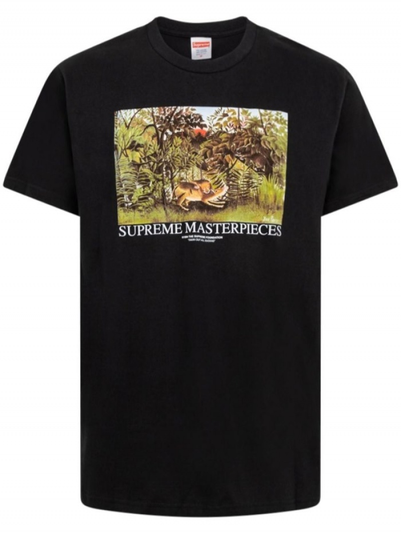 Camisetas Supreme Masterpieces Estampadas-print Hombre Negras Colombia | X3F-98158