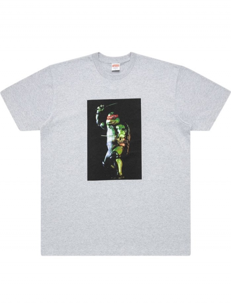 Camisetas Supreme Raphael Estampadas-print Hombre Gris Colombia | H3W-60862