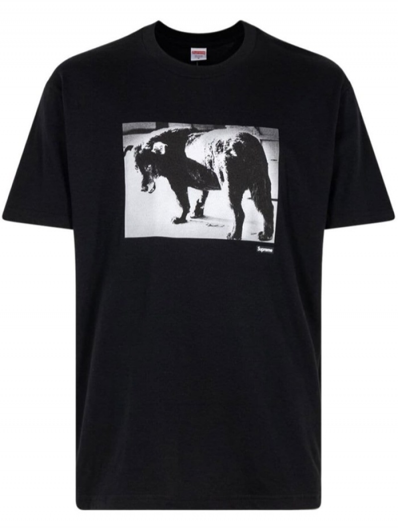 Camisetas Supreme X Daido Moriyama Dog-print Hombre Negras Colombia | X3P-33366